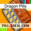 Dragon Pills 42